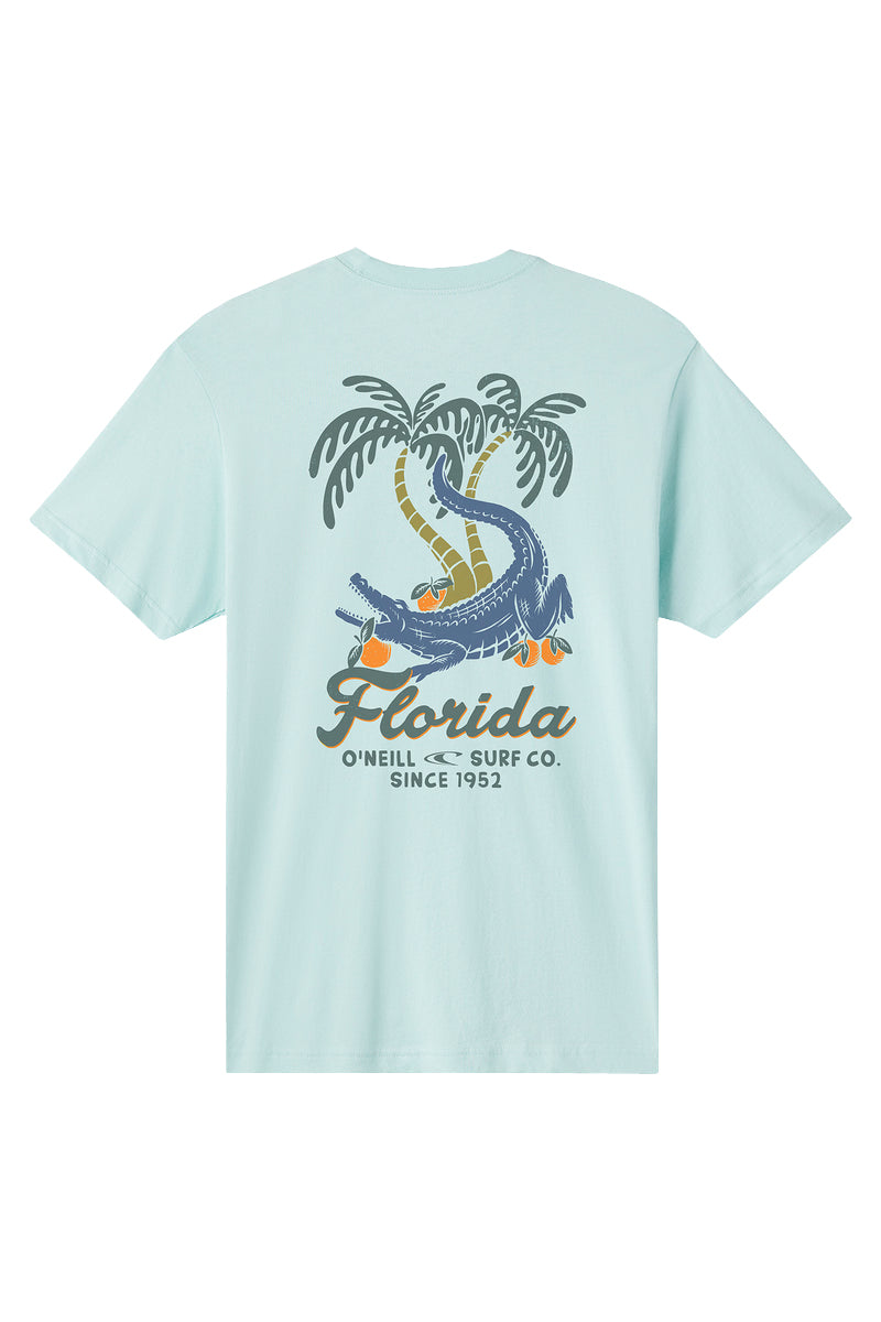 O'NEILL Greenie SS Tee PTQ S