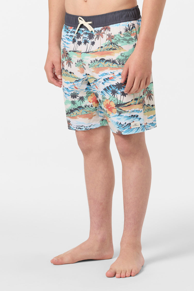 O'Neill Boys Hermosa Lined 16in Volley Short CRM2 M