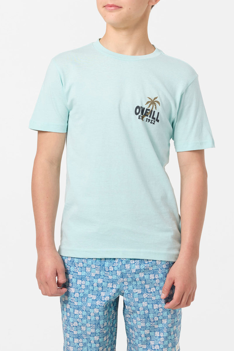 O'Neill Axelrad SS Tee PTQ S