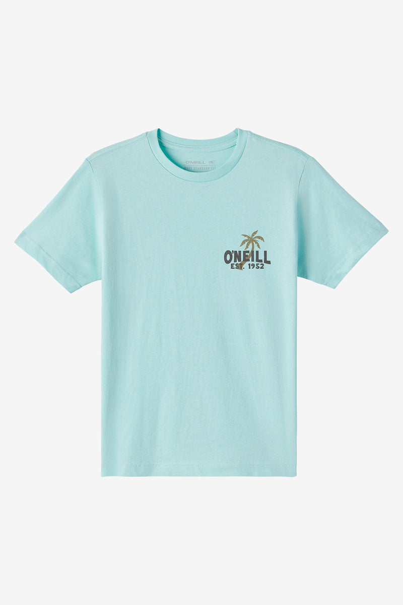 O'Neill Axelrad SS Tee PTQ S