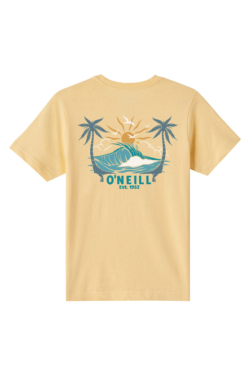 O'Neill Boys Carver SS Tee LMG S