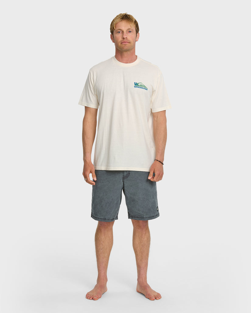 QUIKSILVER EVERYDAY PARADISE STW TOFU M