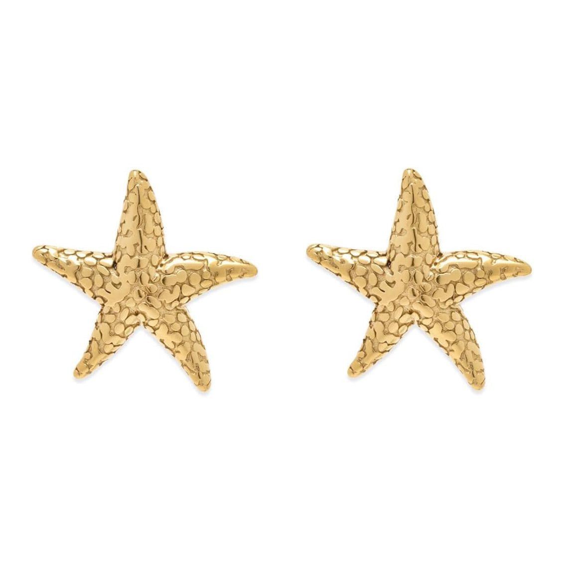 Pura Vida Sea Star Statement Earring 5PK