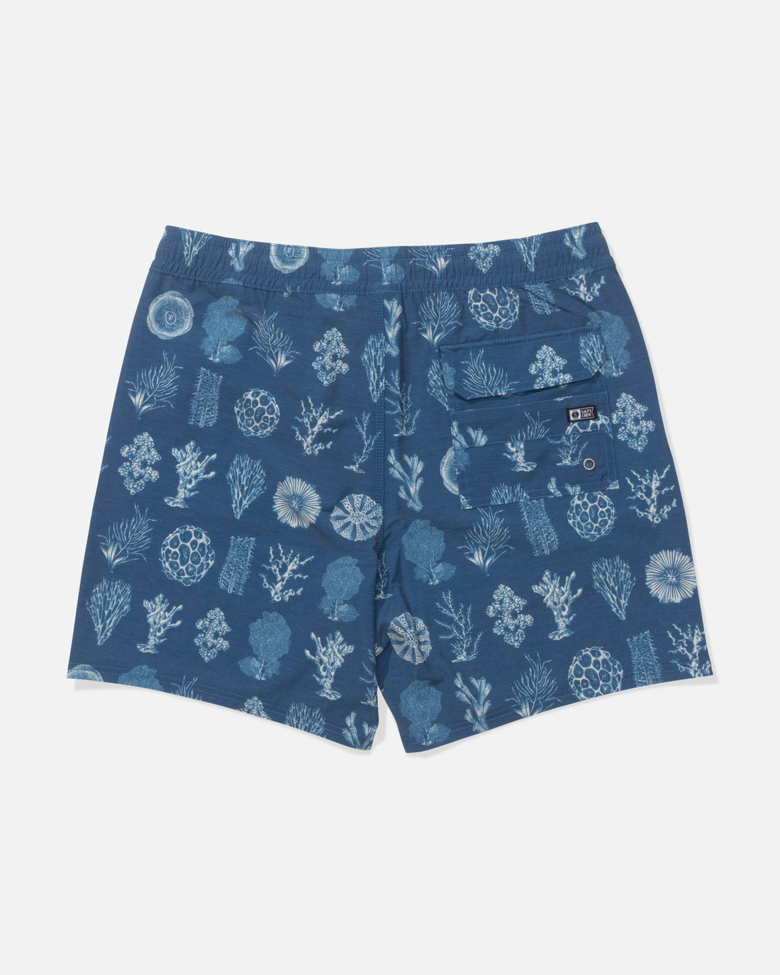 SALTY CREW VOLLEY SHORT Cast Blue M