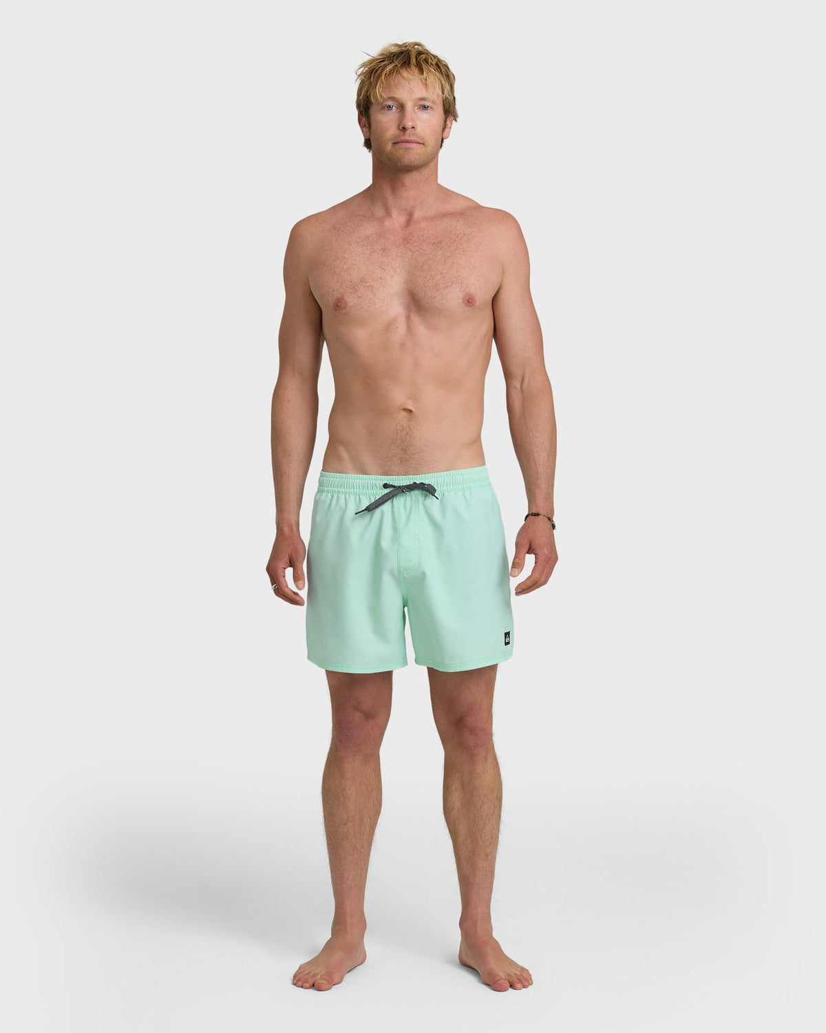 Quiksilver Everyday Solid Volley 15 BOK-BROOK GREEN L