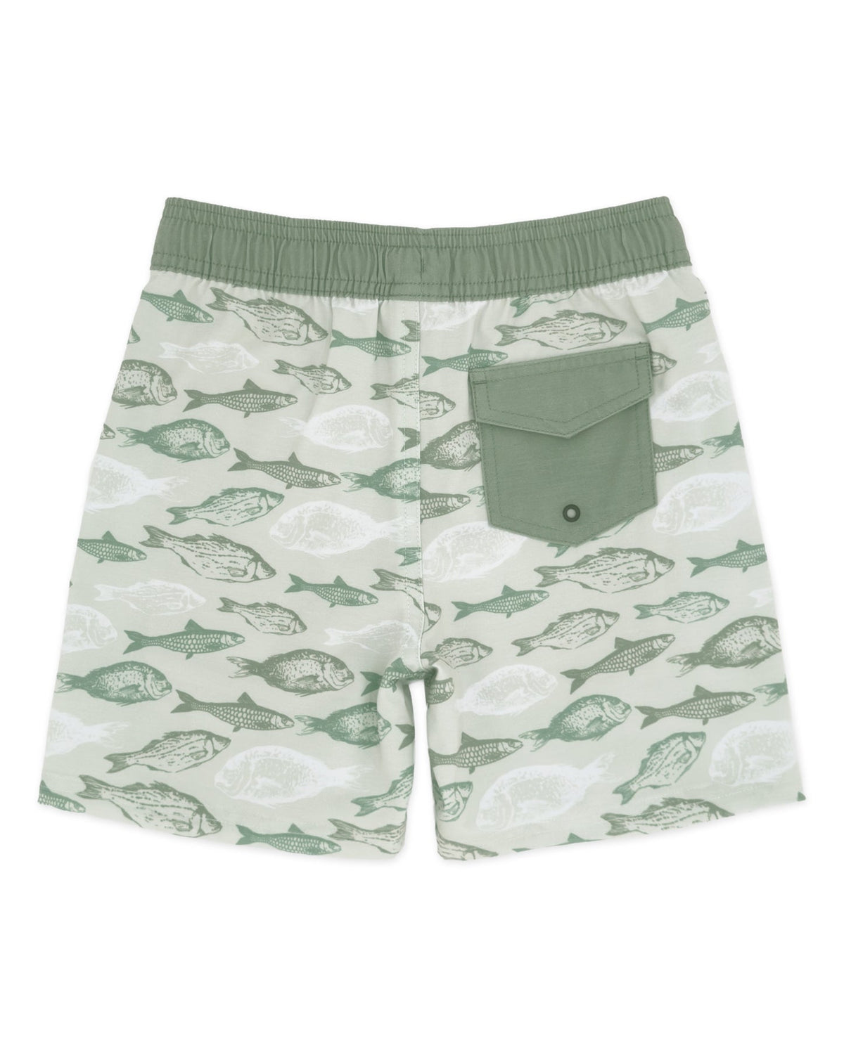 Feather 4 Arrow Boys Classic Boardshort SAG-Sage 2T
