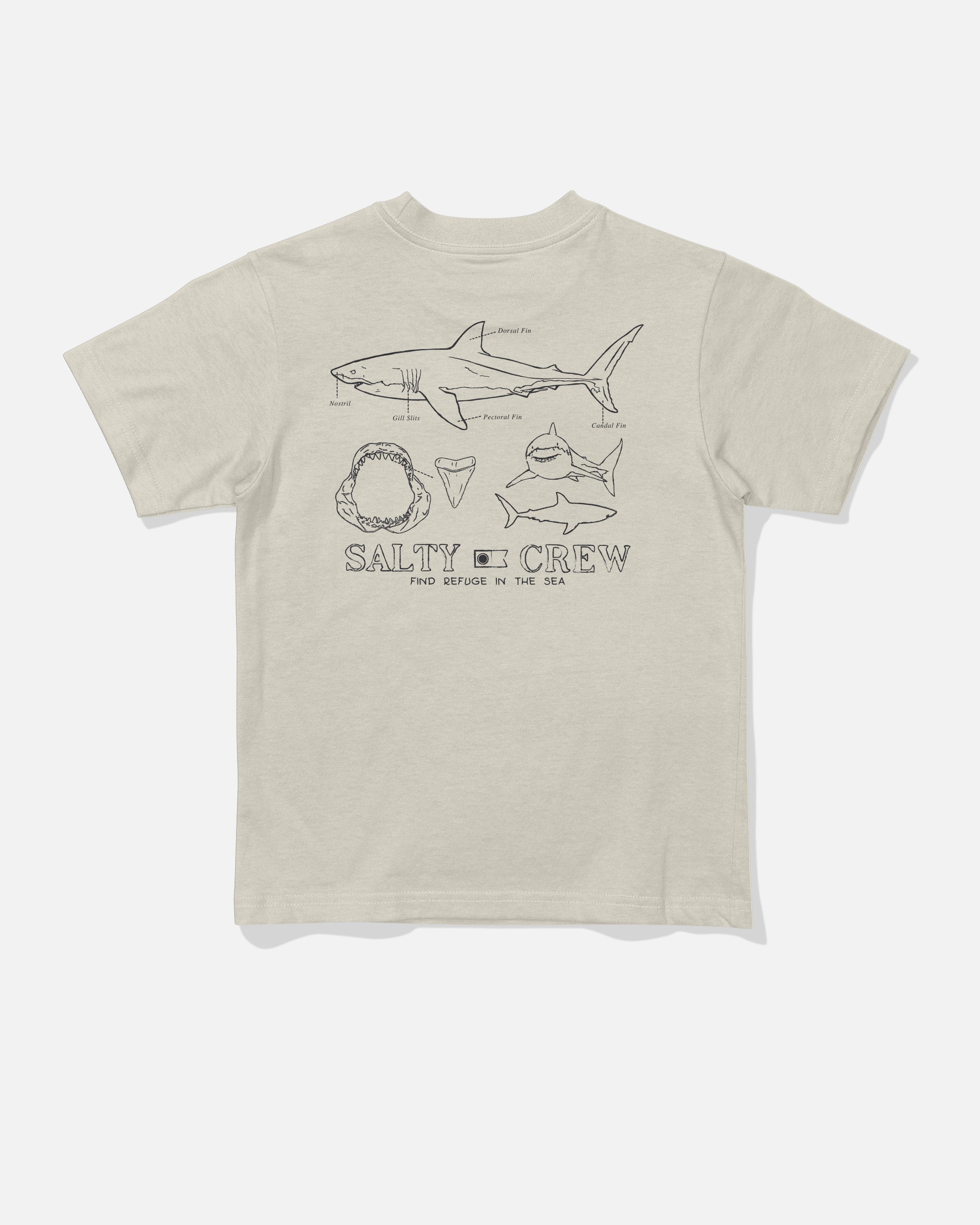 Salty Crew Great White Tddlr SS Tee Bone 4T