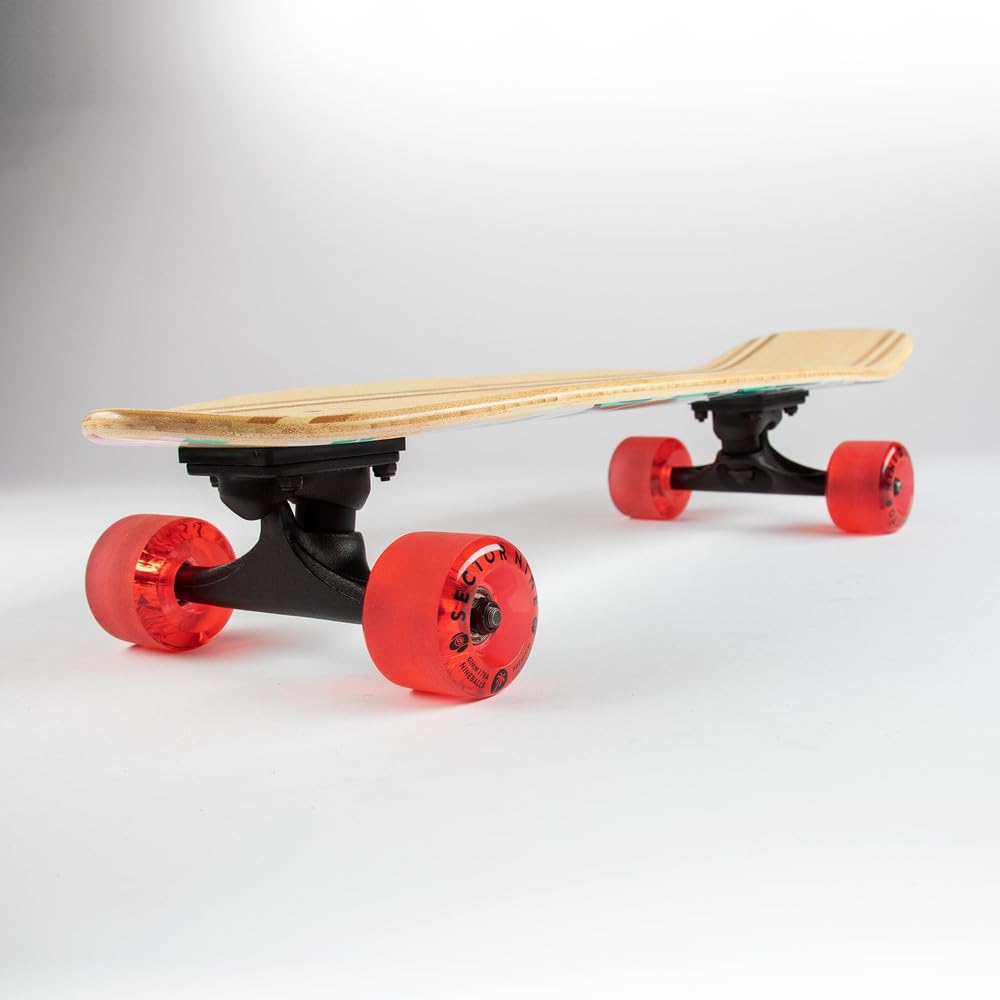 Sector 9 Bambino Complete Skateboard Shorebreak 26.5
