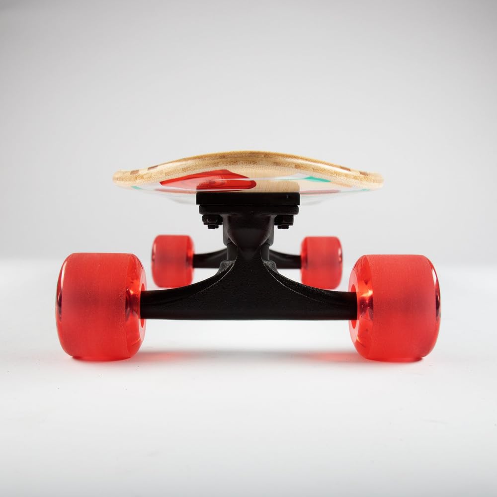 Sector 9 Bambino Complete Skateboard Shorebreak 26.5
