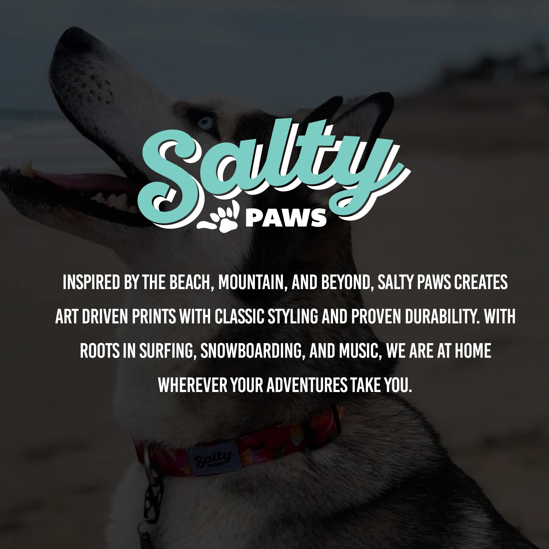 Salty Paws Surfing Dog Collar | Designs for Beach Dogs, Floral, Fishing, Surfing, Hawaiian, AmericanaBillFish S