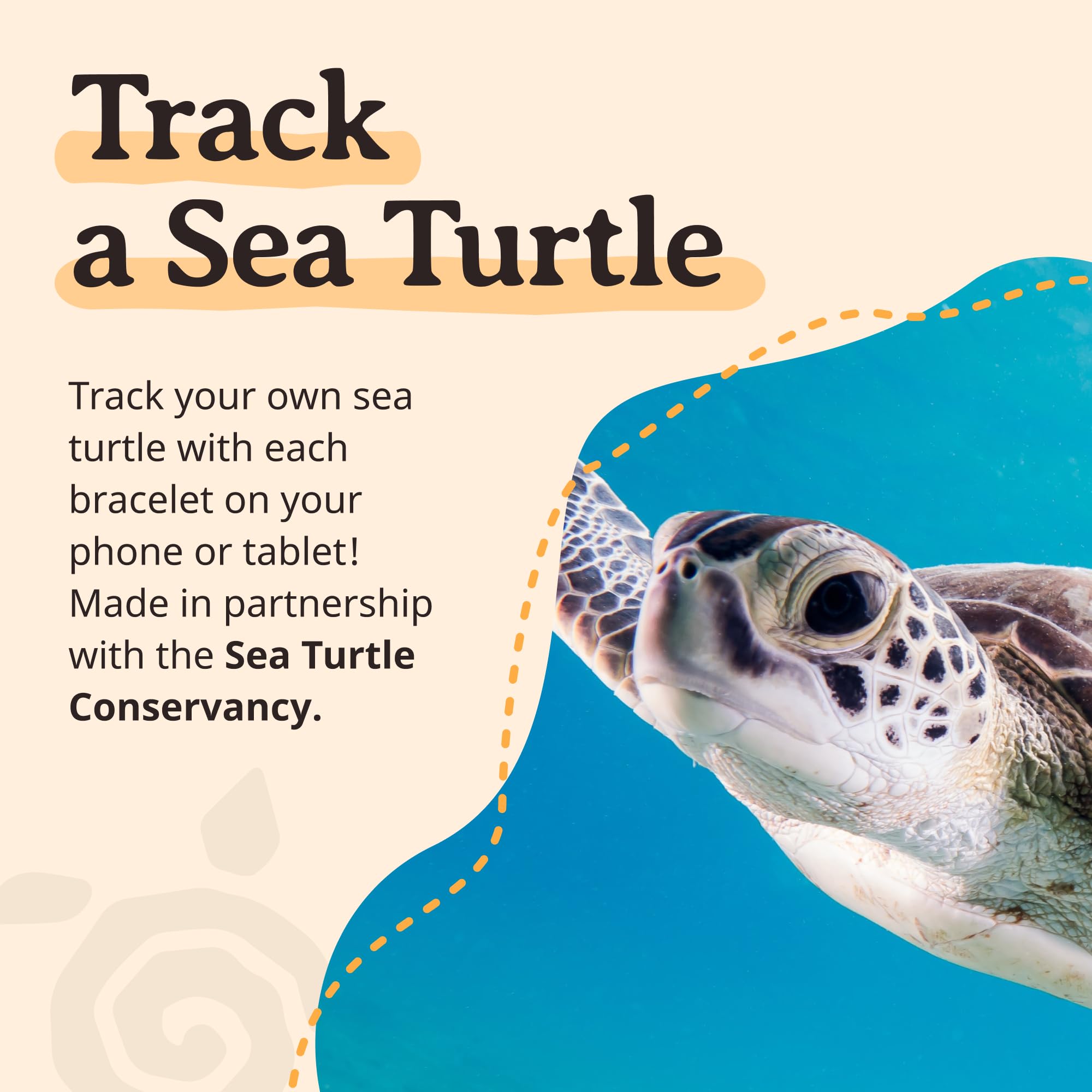 Fahlo Journey Bracelet Coral Reef Pink