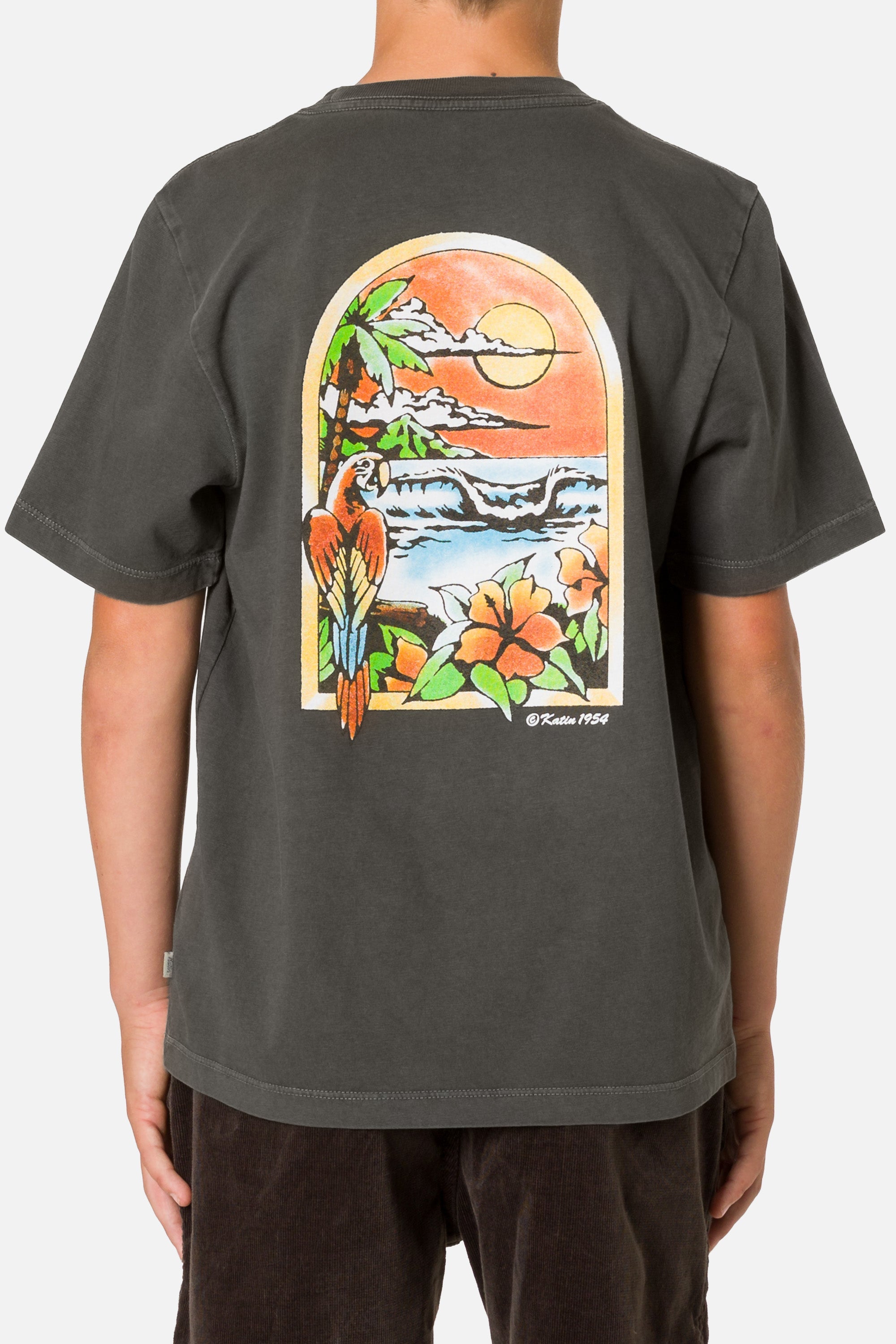 KATIN BOYS SALVADOR TEE LEAD L