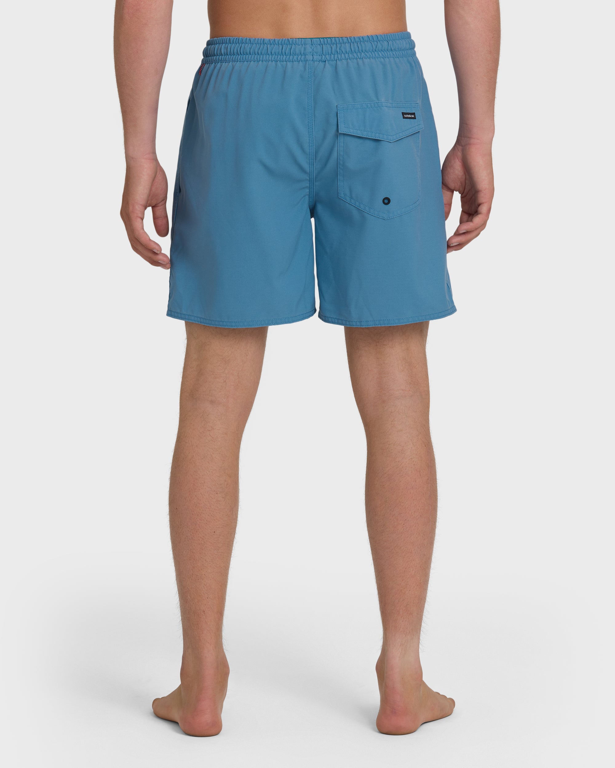 QUIKSILVER SALTWATER VOLLEY 17 RVB-RIVIERA S