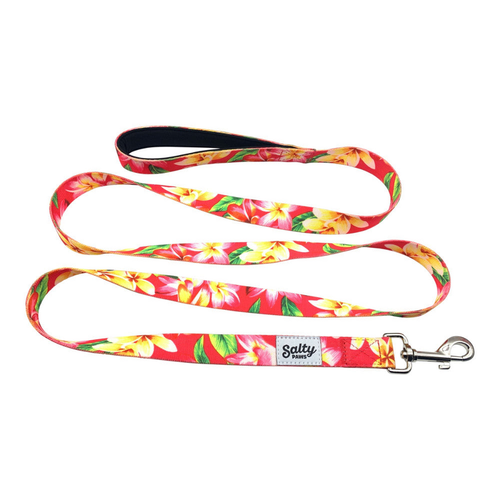 Salty Paws Leash Pink Floral L