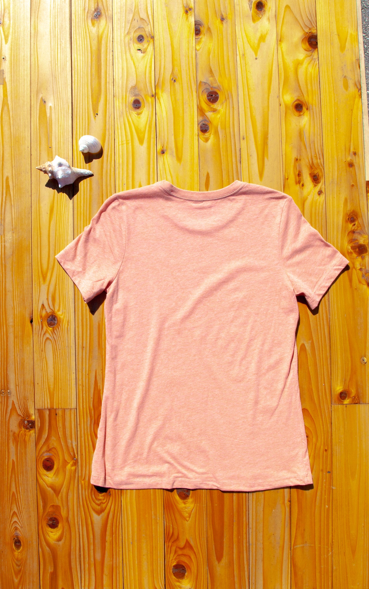 IWS Saltwater Heals Everything Relaxed S/S Tee