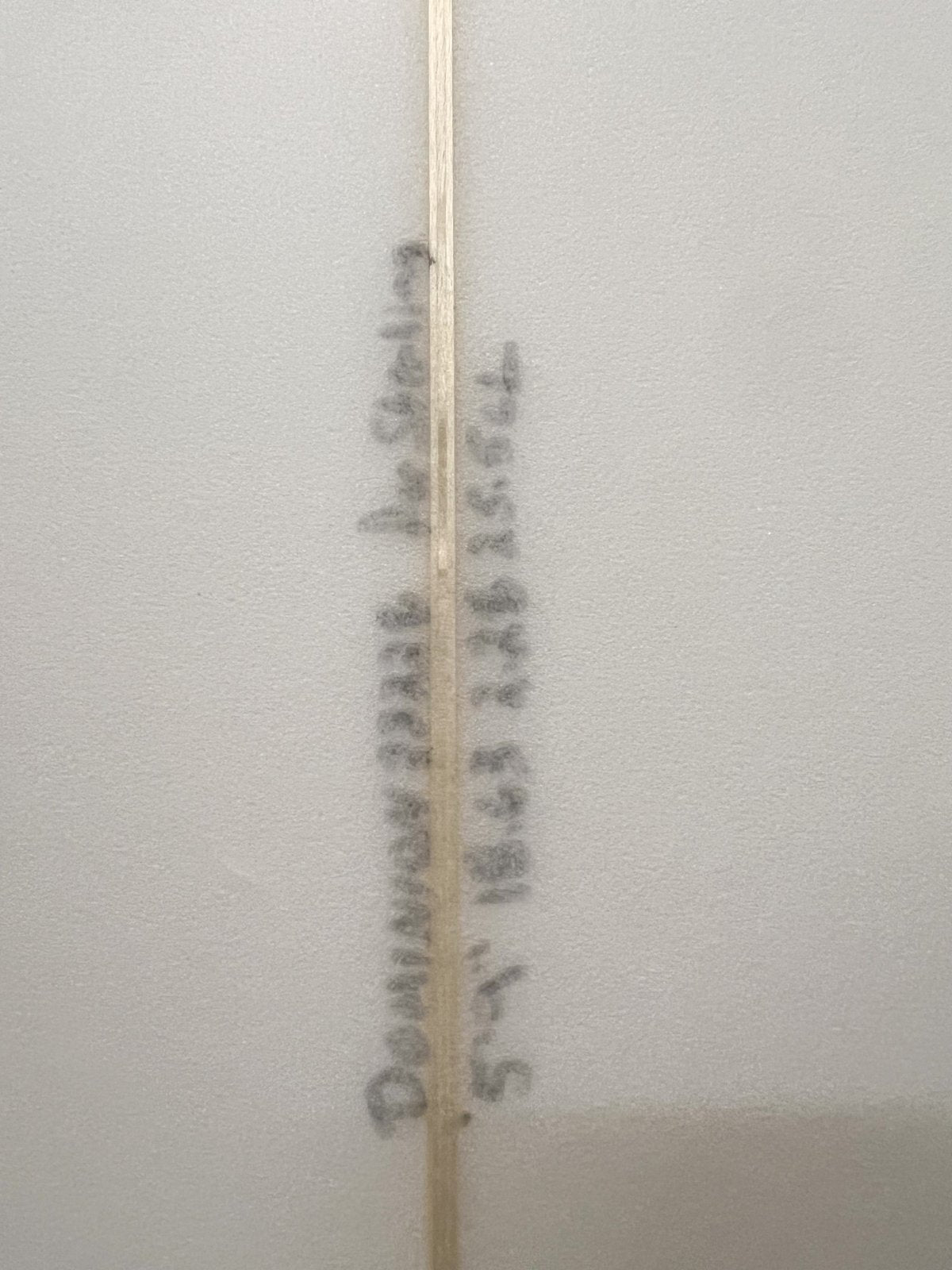 5ft9in Dominion Consignment - Makish