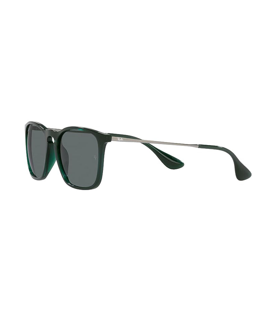 Ray-Ban Chris Polarized Sunglasses TransparentGreen DKGrey