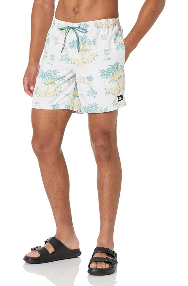 Quiksilver Everyday Jam Mixed Volley 17" Shorts WDW9 L