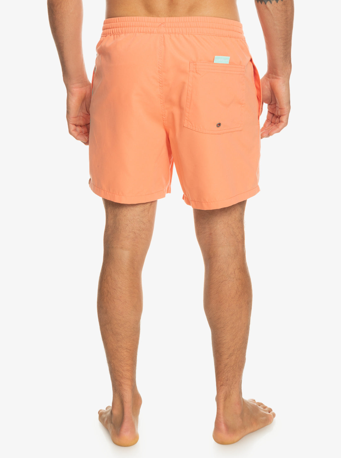 Quiksilver Everyday Vert Volley MHV0 XL