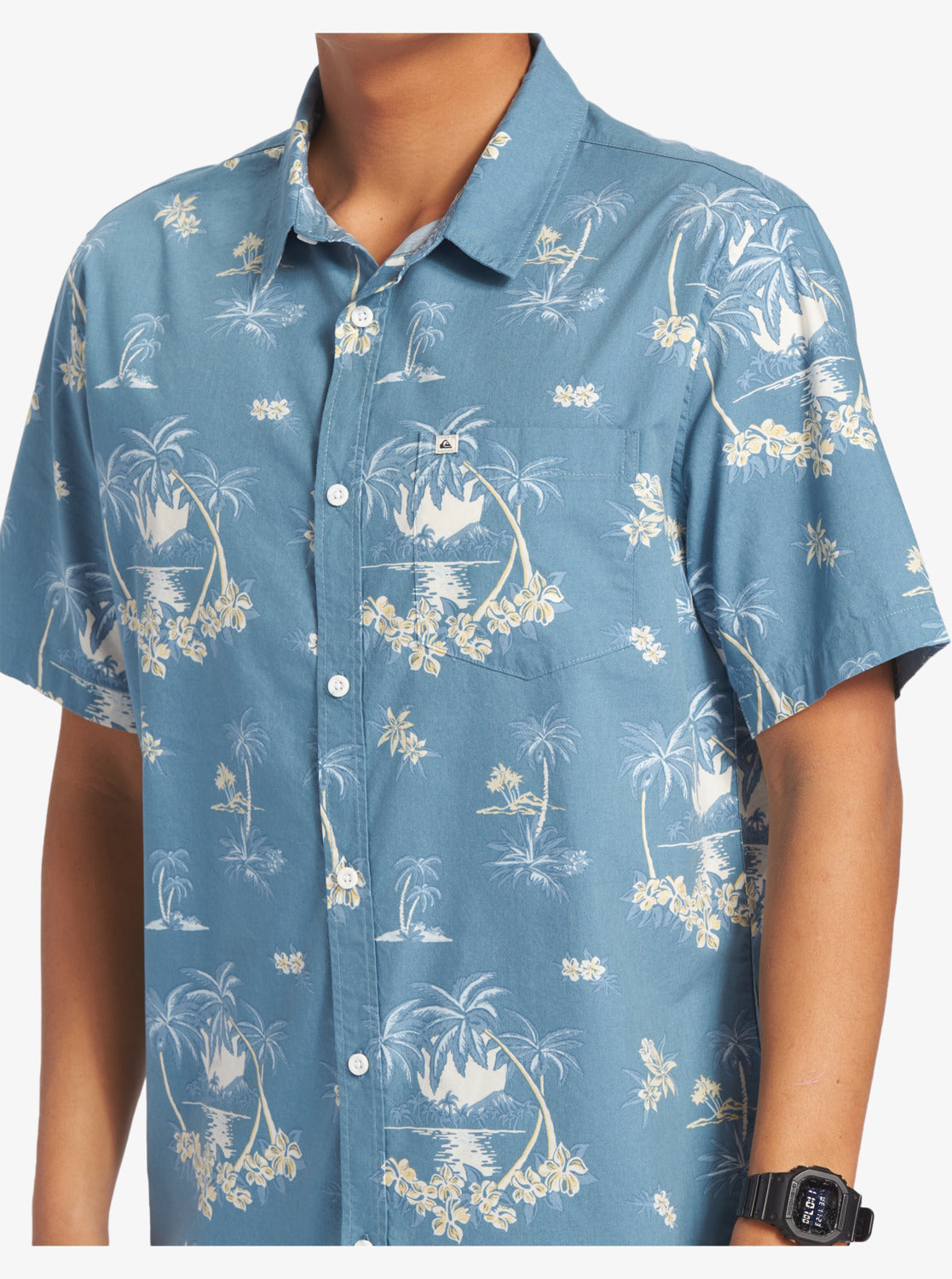 Quiksilver Palm Spritz BMQ9 L