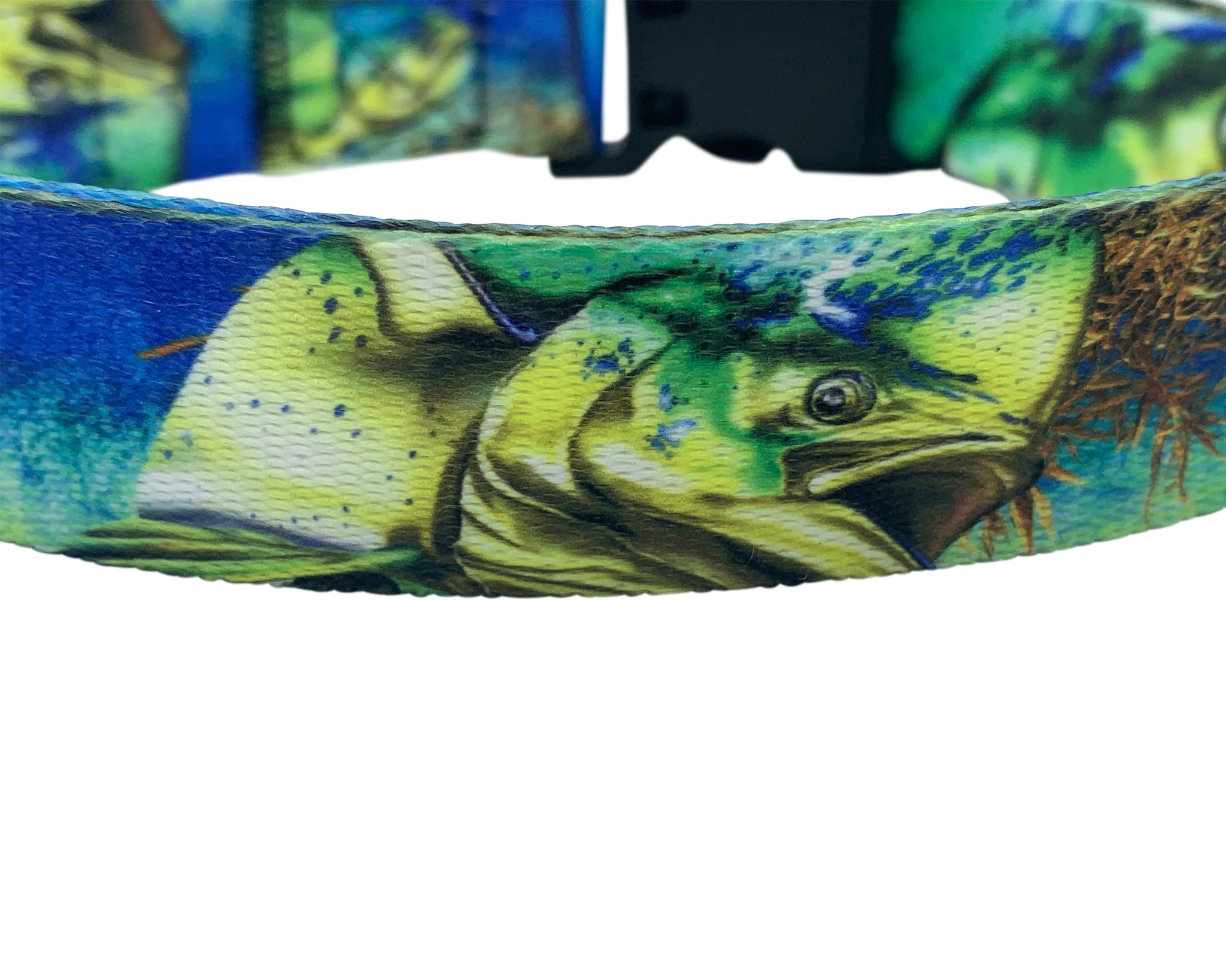 Salty Paws Surfing Dog Collar | Designs for Beach Dogs, Floral, Fishing, Surfing, Hawaiian, MahiPrint L