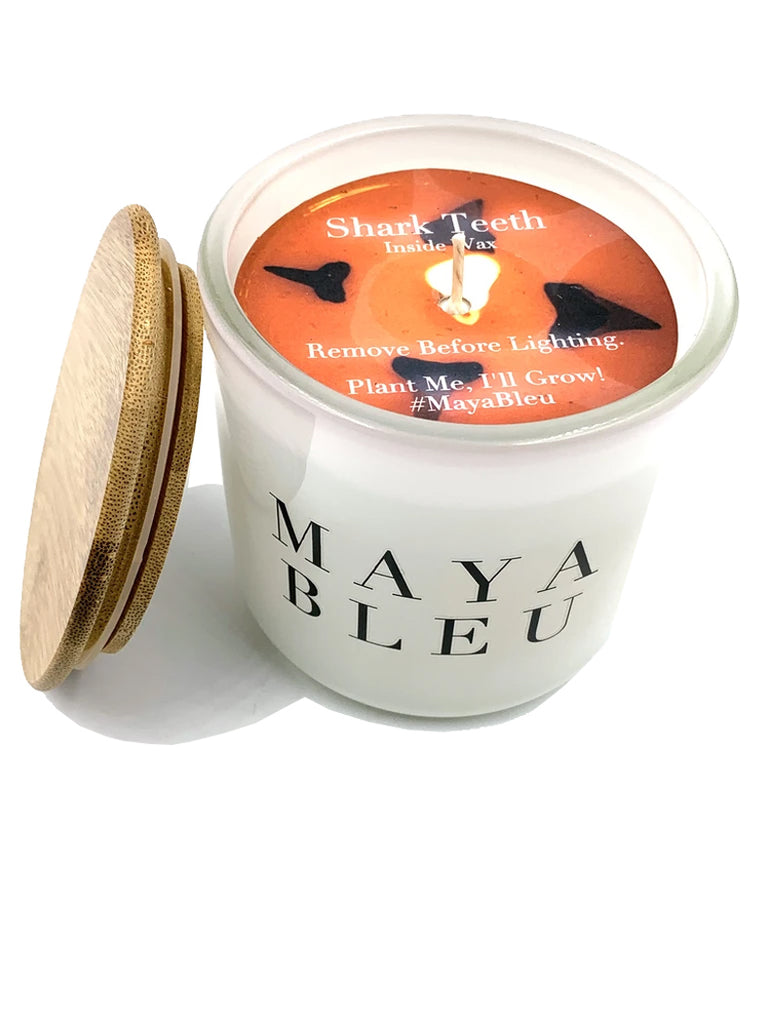 Maya Bleu Shark Tooth Candle White 16oz
