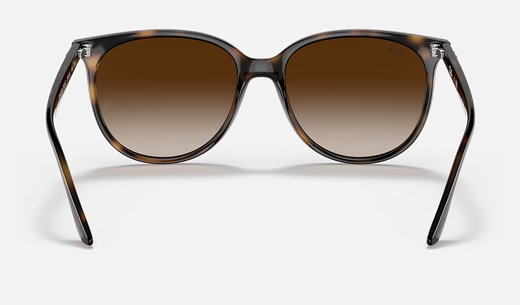 Ray Ban 0RB4378 Sunglasses Havana GradientBrown