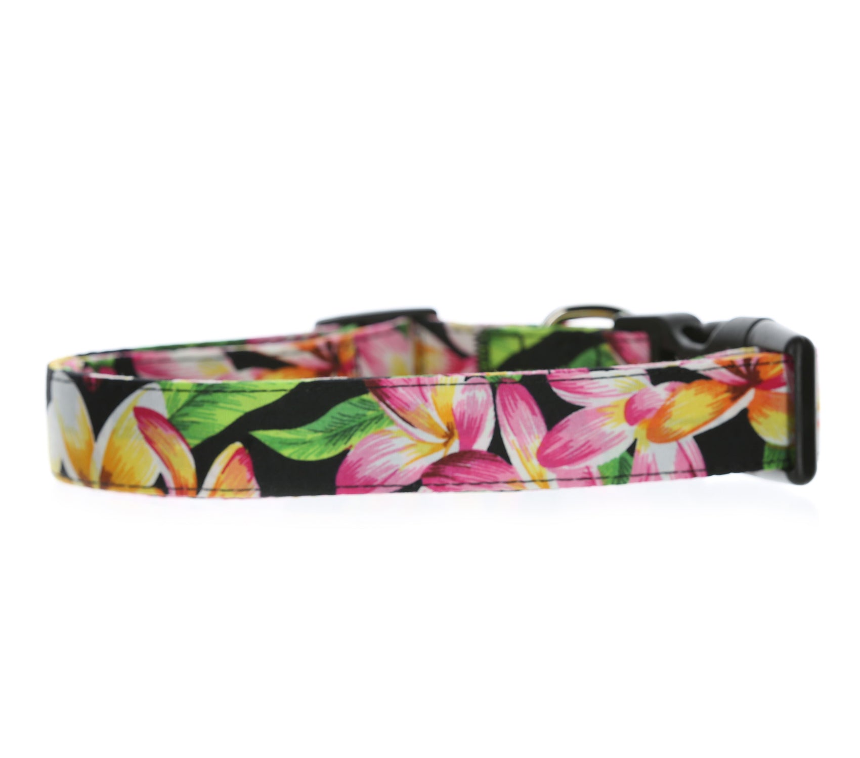 Salty Paws Surfing Dog Collar | Designs for Beach Dogs, Floral, Fishing, Surfing, Hawaiian, Black Floral L