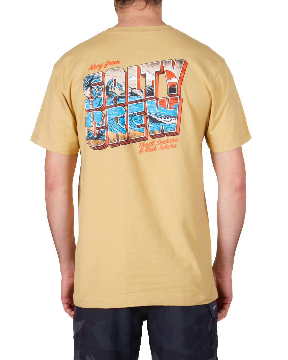 SALTY CREW GREETINGS PREMIUM S/S TEE CAMEL L