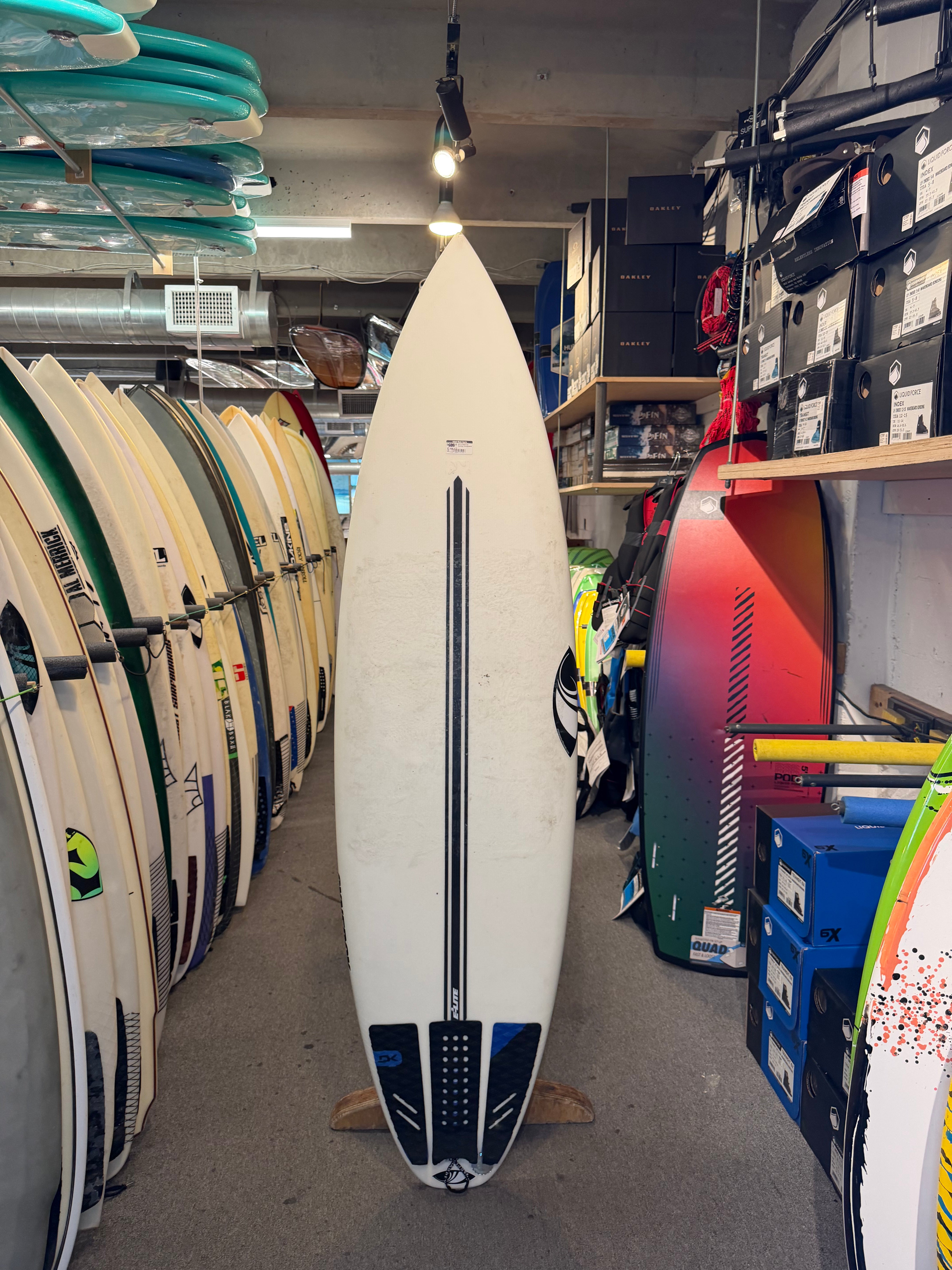 6ft1in Sharp Eye Synergy Consignment