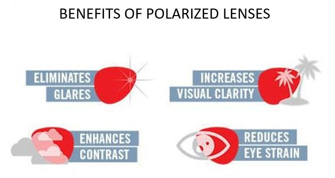 Ray Ban Aviator Large Metal Polarized Sunglasses Black Crystal Green Aviator