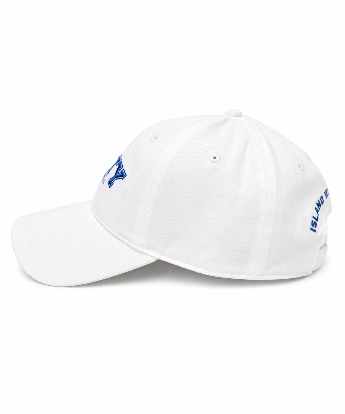 IWS Salty Dad Cap DELRAYwhite OS