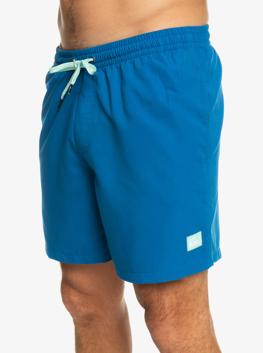 Quiksilver Everyday 17 Volley Short BRT0 S