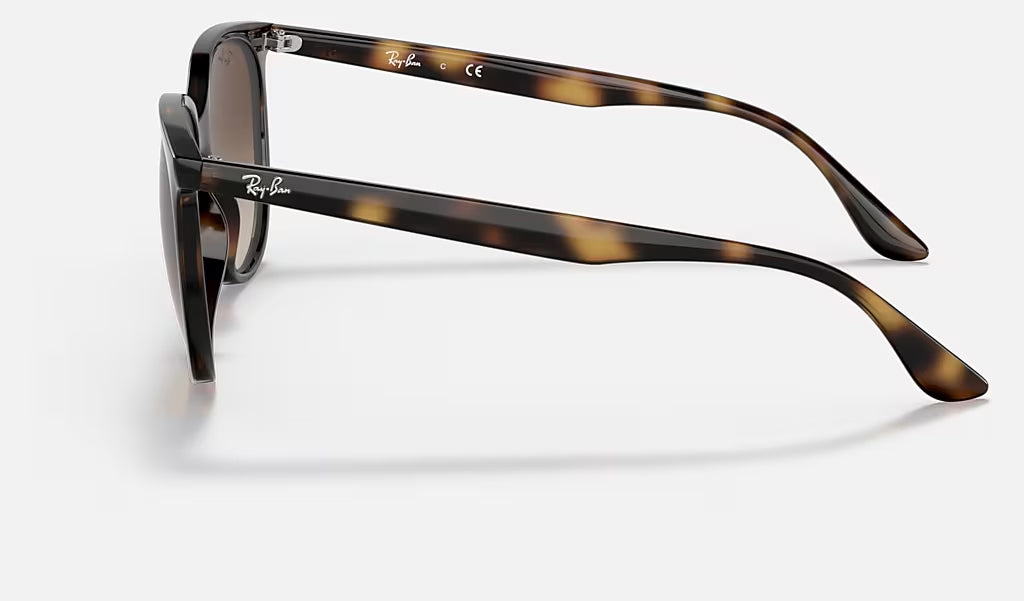 Ray Ban 0RB4378 Sunglasses Havana GradientBrown