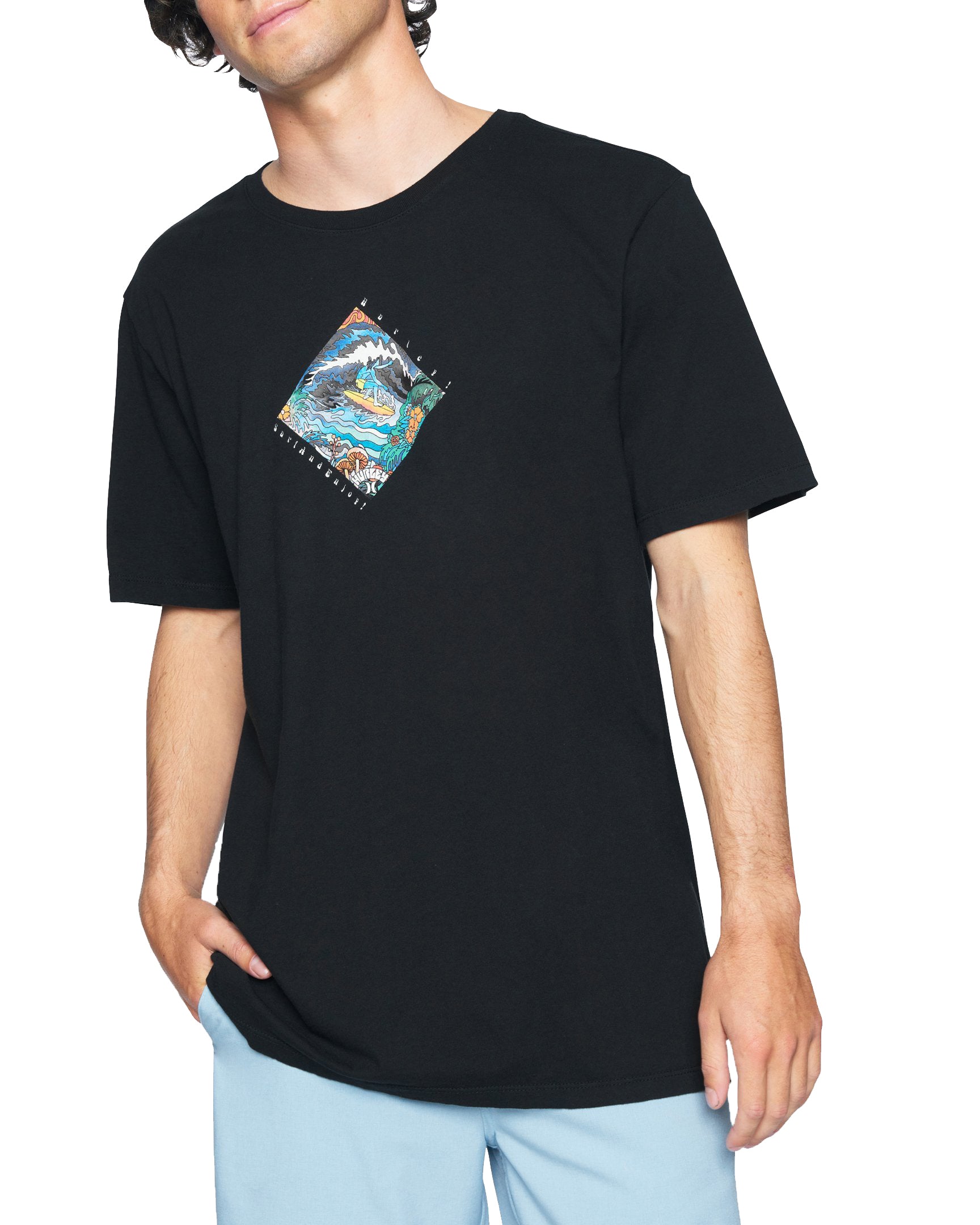 Hurley Everyday Washed Sendy Tee H010-Black L