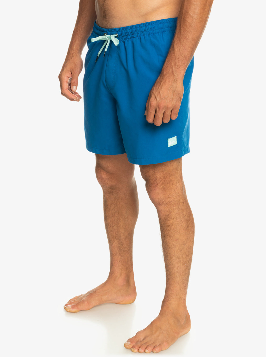 Quiksilver Everyday 17 Volley Short BRT0 S