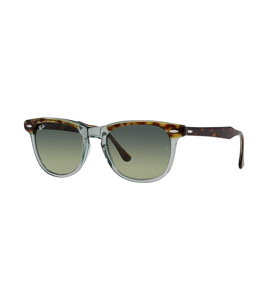 Ray Ban Eagleeye Sunglasses