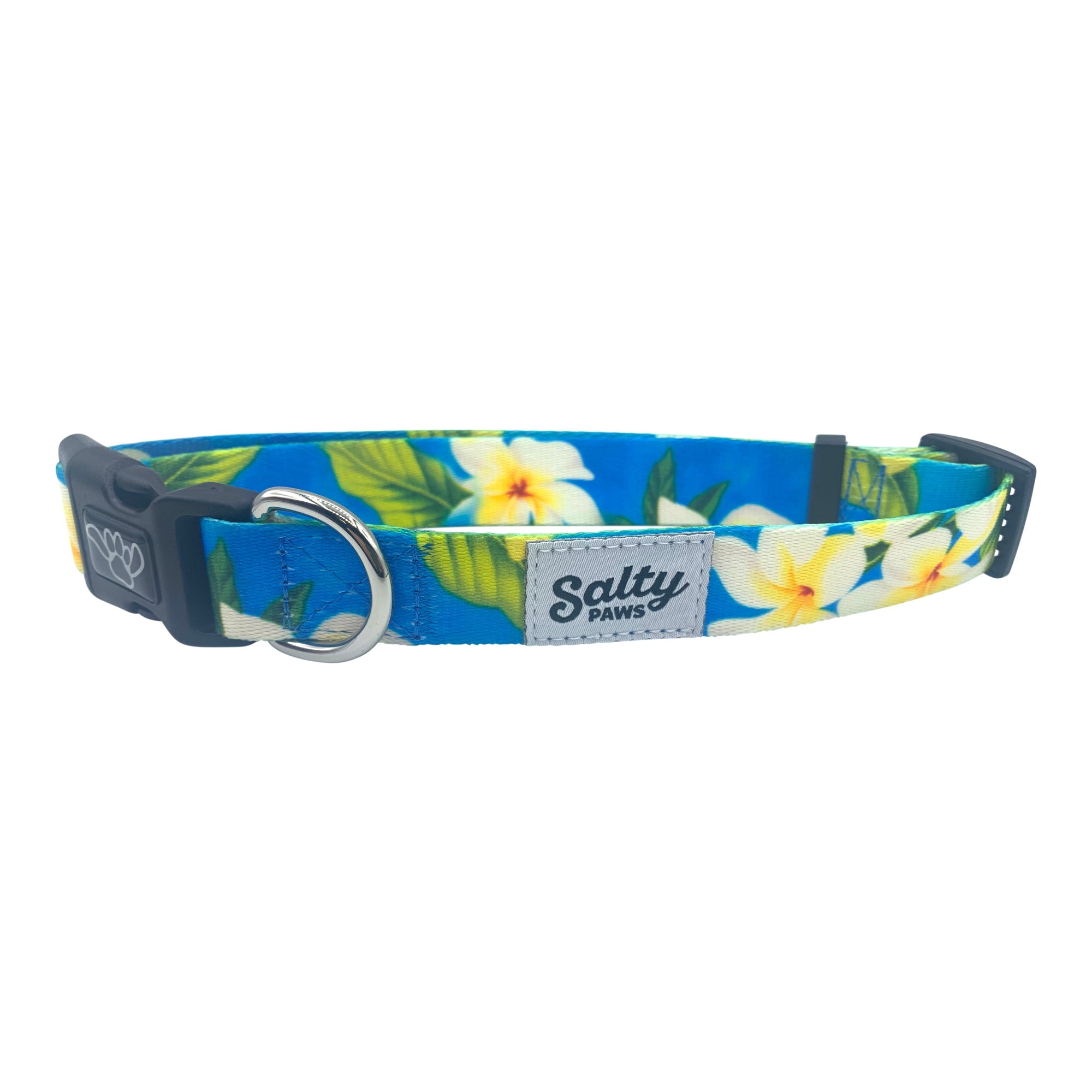 Salty Paws Surfing Dog Collar | Designs for Beach Dogs, Floral, Fishing, Surfing, Hawaiian, Blue Plumaria L