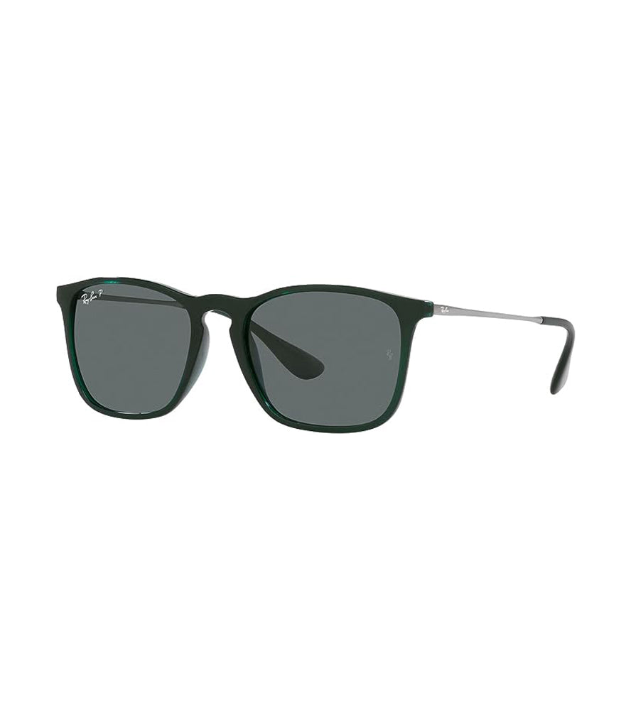 Ray-Ban Chris Polarized Sunglasses