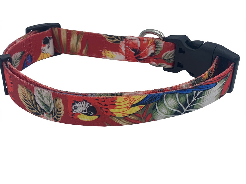 Salty Paws Surfing Dog Collar | Designs for Beach Dogs, Floral, Fishing, Surfing, Hawaiian, Red Birds S