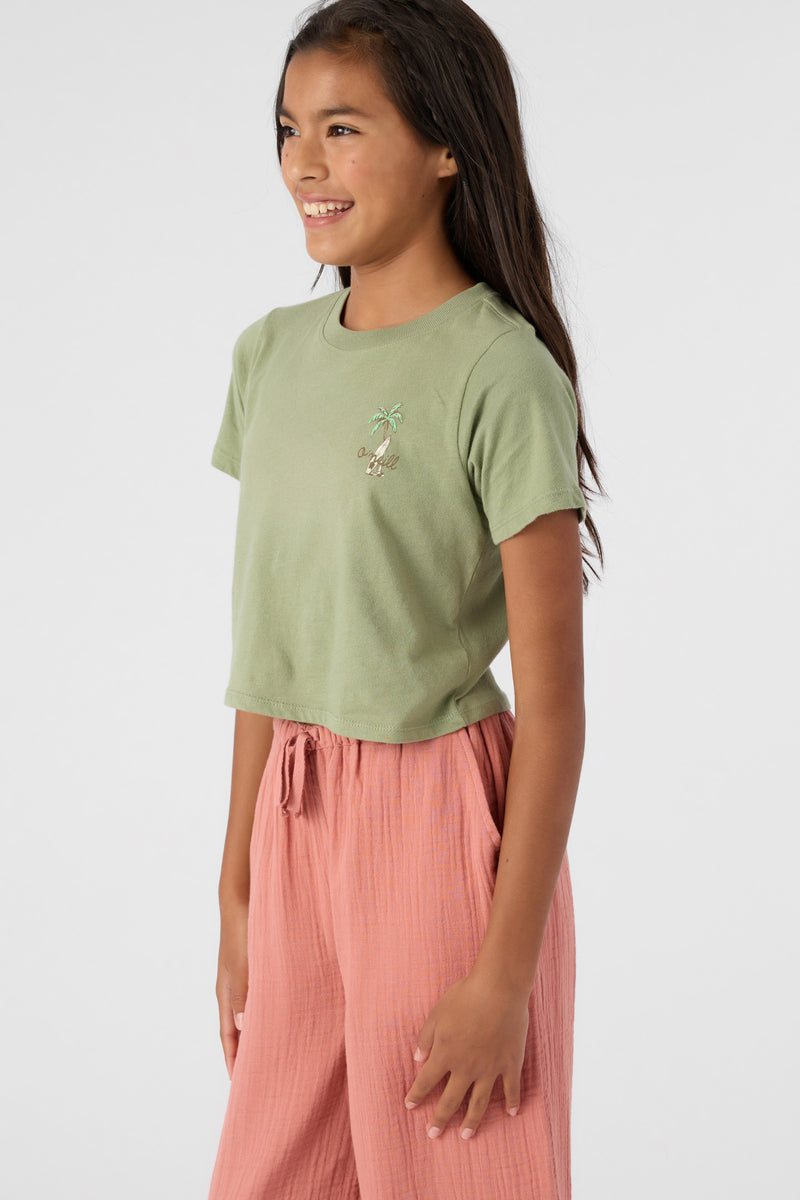 O'Neill VW Bug ss tee OGN L