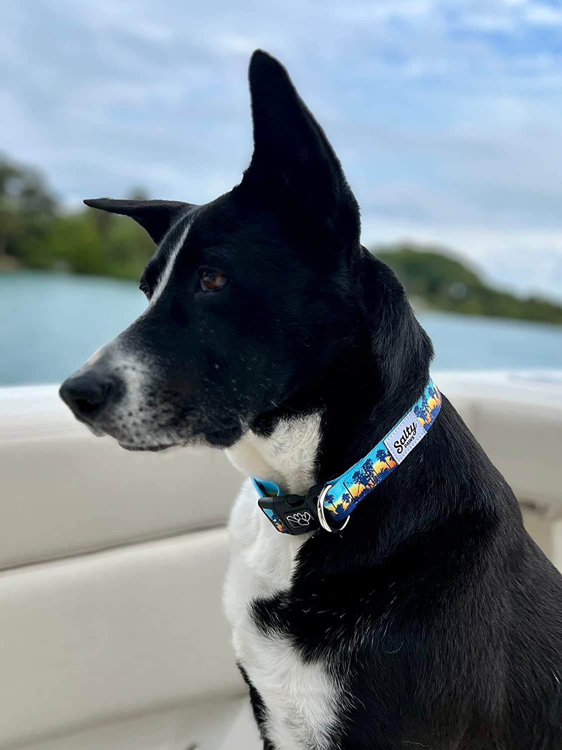 Salty Paws Surfing Dog Collar | Designs for Beach Dogs, Floral, Fishing, Surfing, Hawaiian, SunsetPalms S