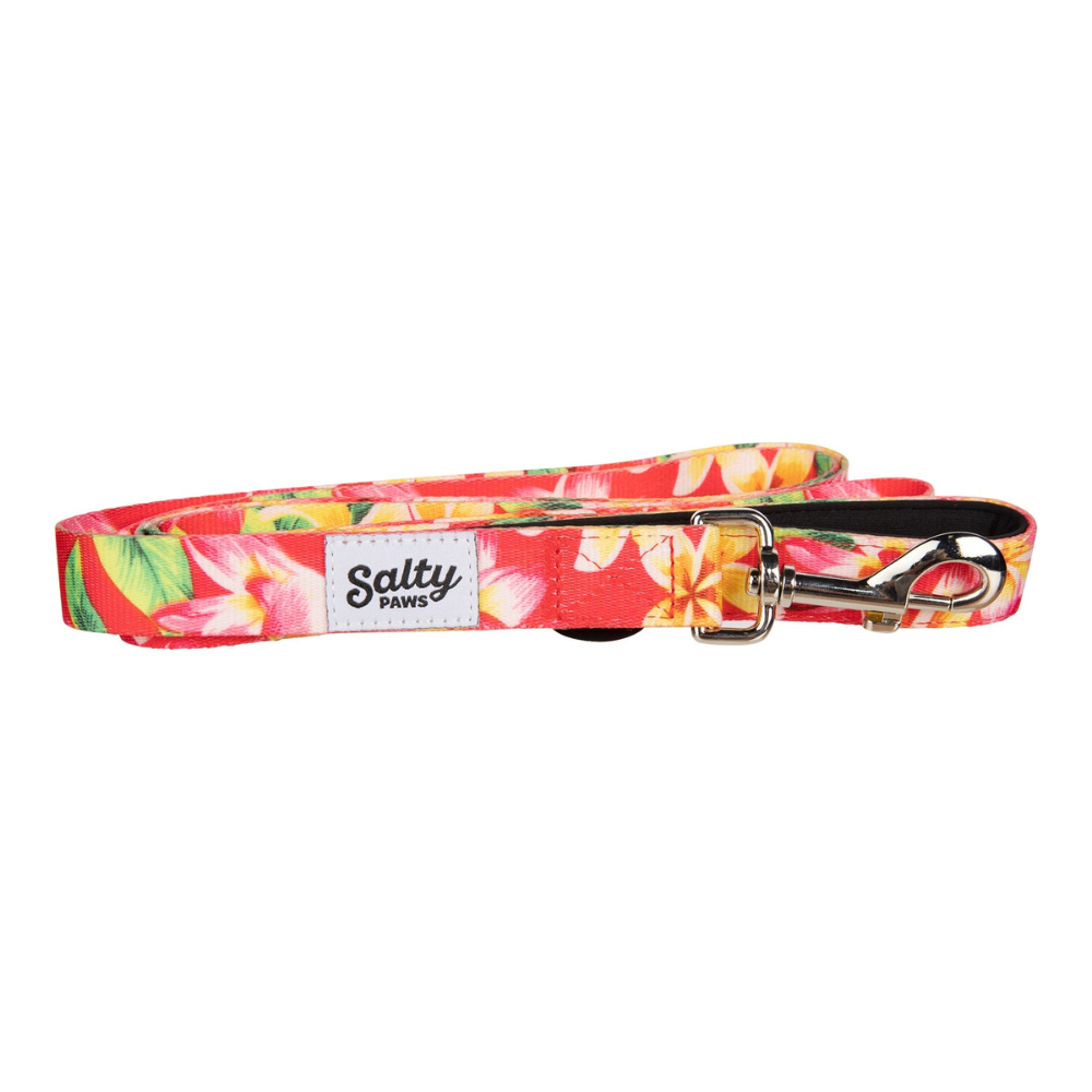 Salty Paws Leash Pink Floral M