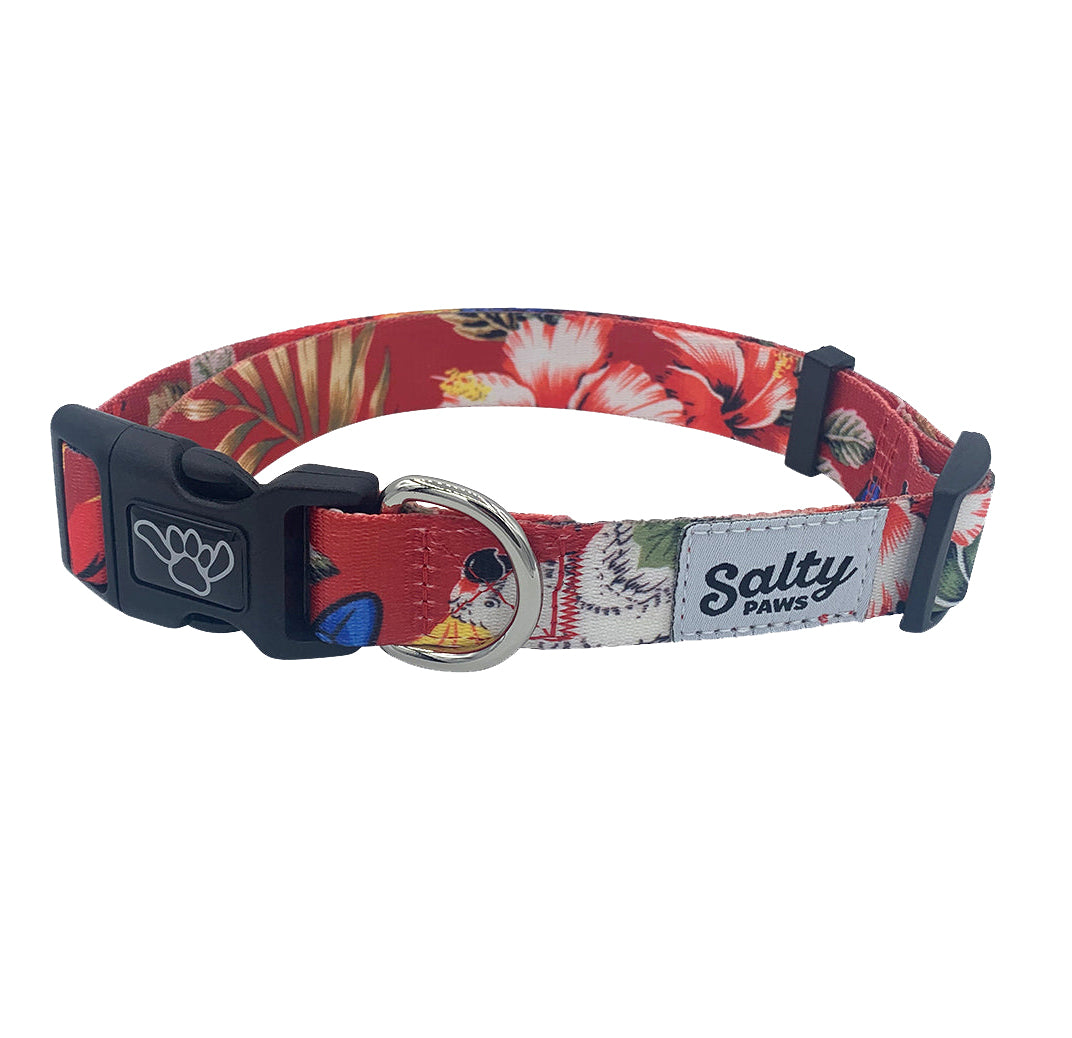 Salty Paws Surfing Dog Collar | Designs for Beach Dogs, Floral, Fishing, Surfing, Hawaiian, Red Birds S