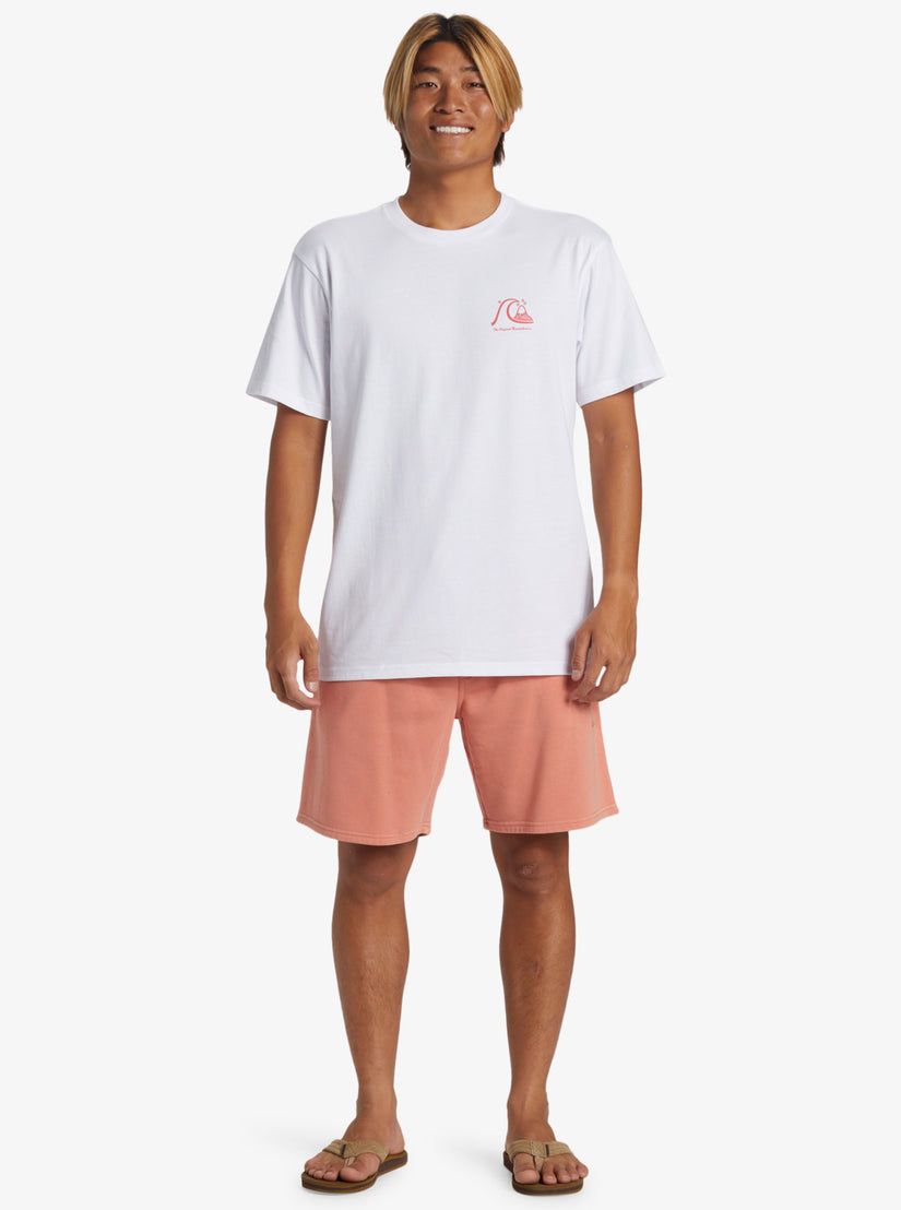 Quiksilver The Original Boardshort SS Tee WBB0 L