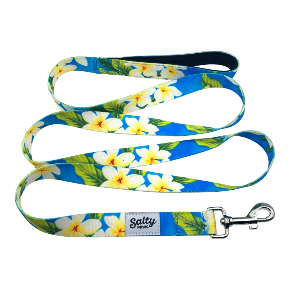Salty Paws Leash Blue Plumeria M