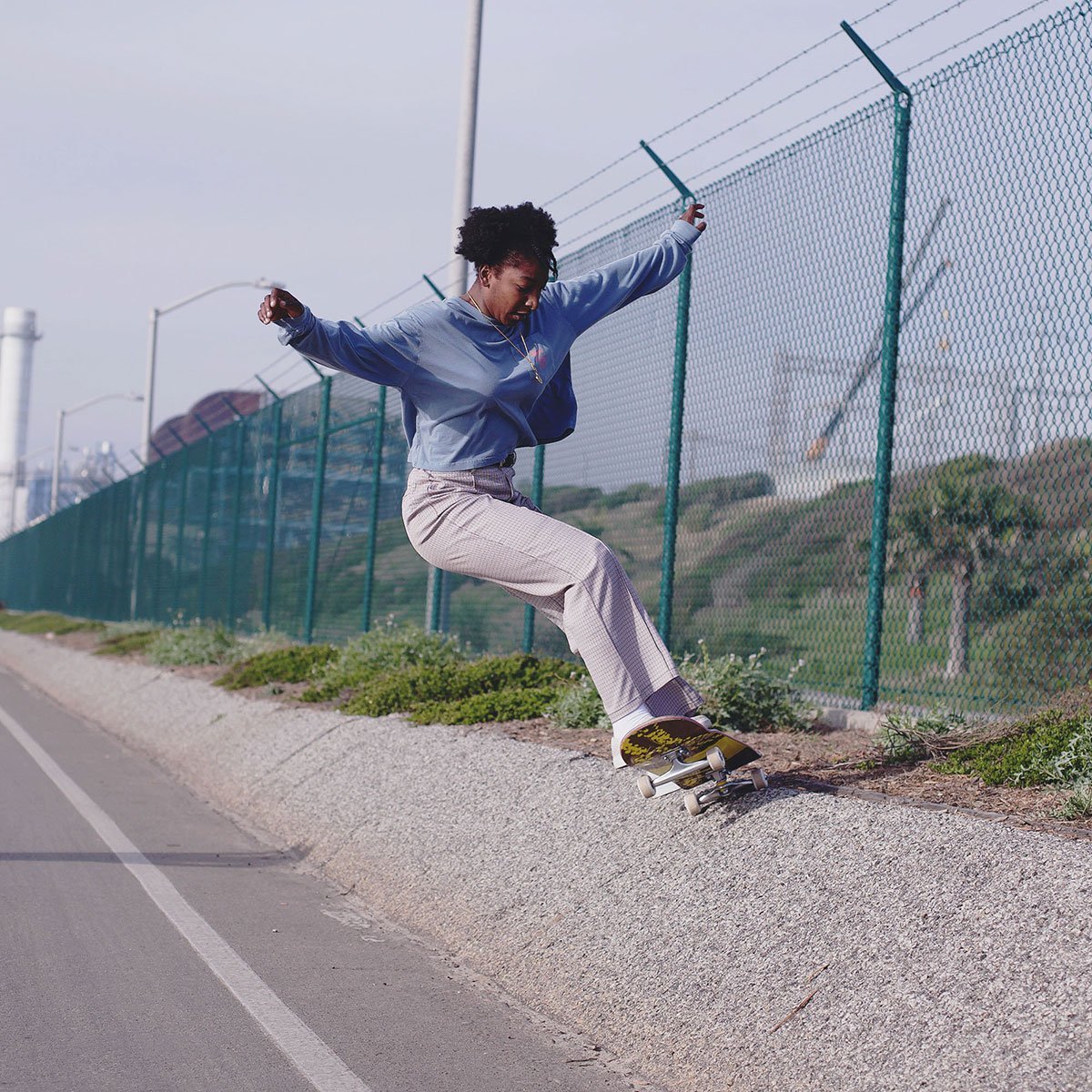 Impala Blossom Complete Wattle 8.5