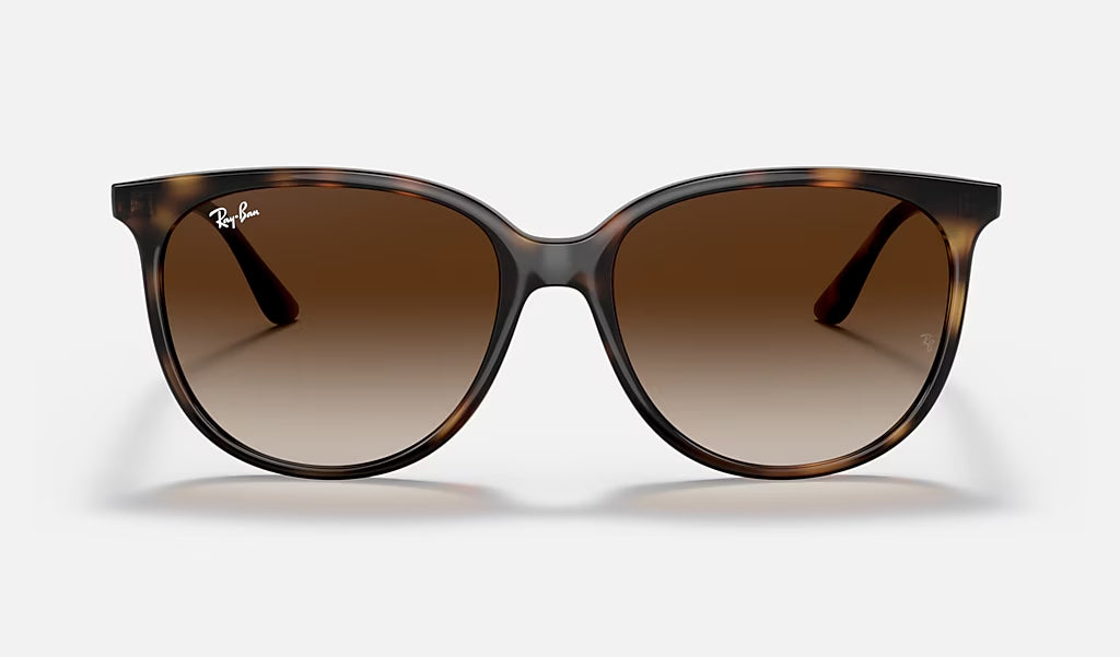 Ray Ban 0RB4378 Sunglasses Havana GradientBrown