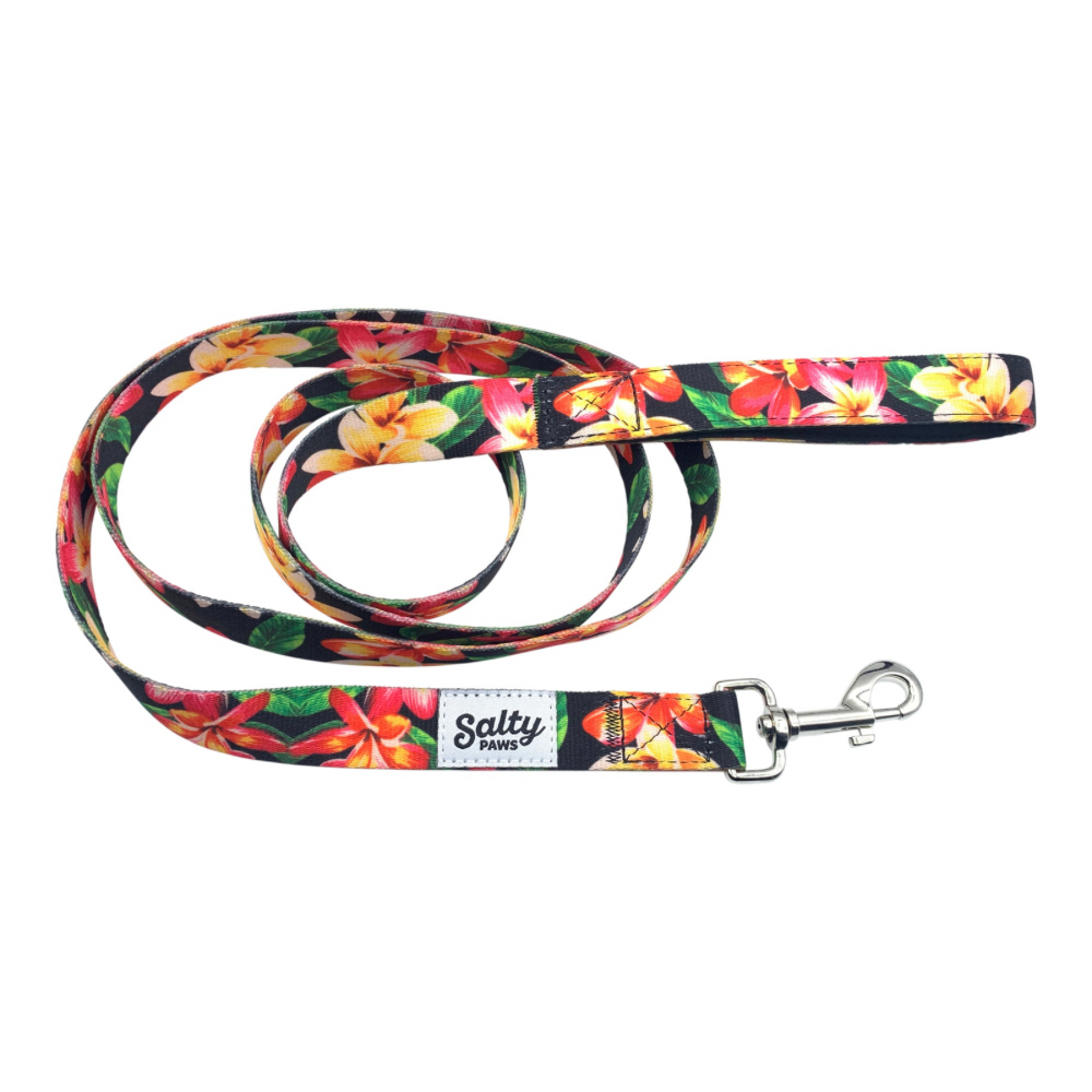 Salty Paws Leash Black Floral M