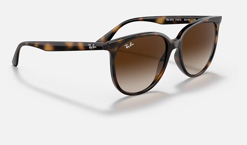 Ray Ban 0RB4378 Sunglasses Havana GradientBrown